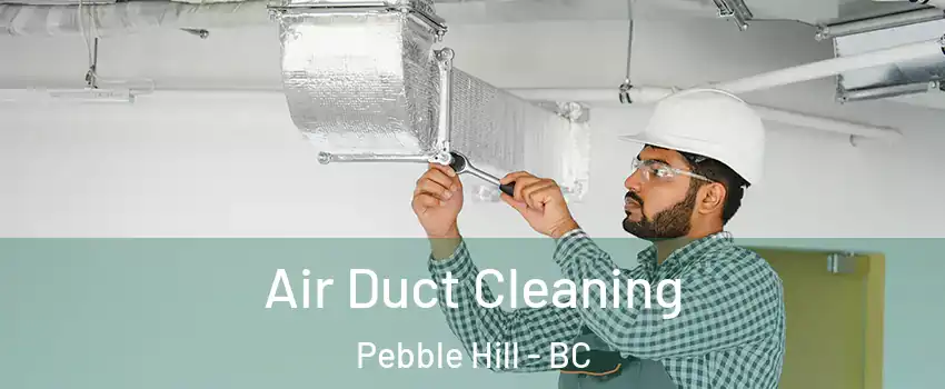 Air Duct Cleaning Pebble Hill - BC