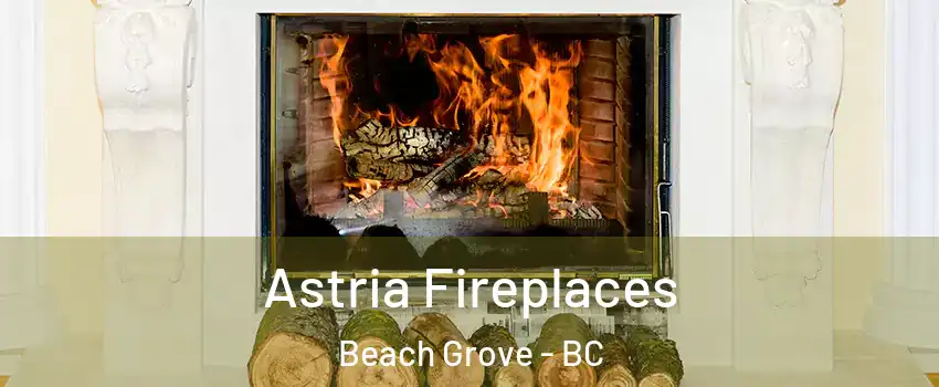 Astria Fireplaces Beach Grove - BC
