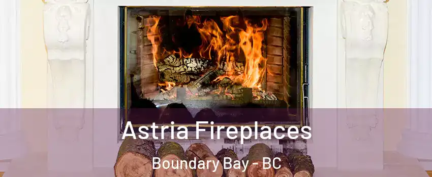 Astria Fireplaces Boundary Bay - BC