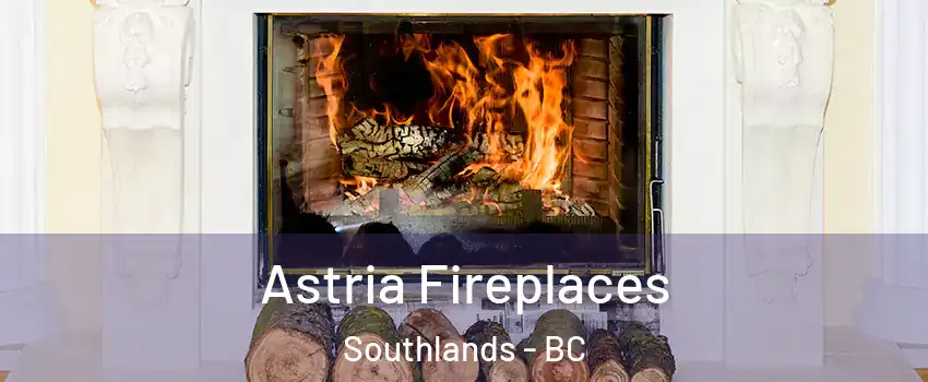 Astria Fireplaces Southlands - BC
