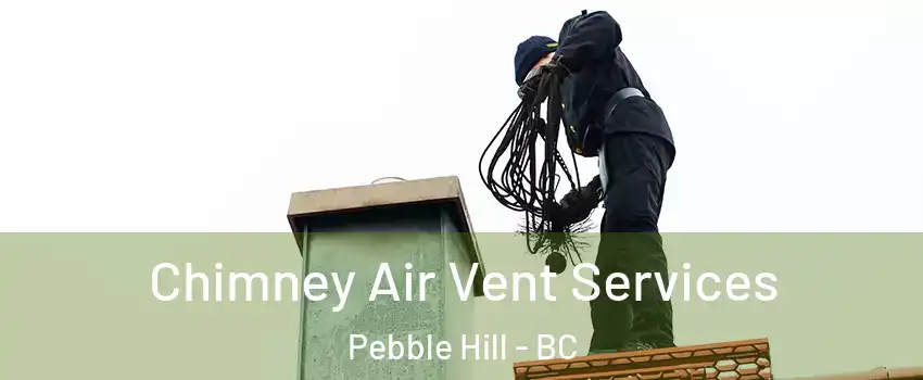 Chimney Air Vent Services Pebble Hill - BC