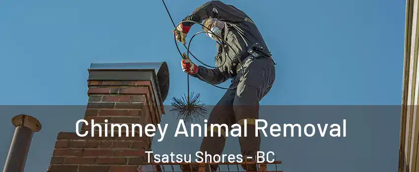 Chimney Animal Removal Tsatsu Shores - BC