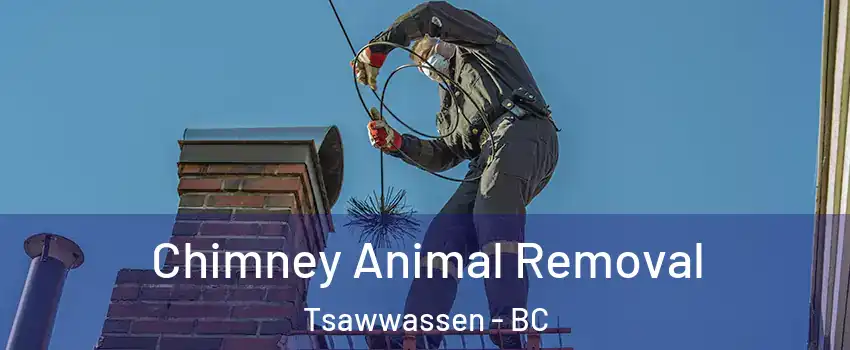  Chimney Animal Removal Tsawwassen - BC