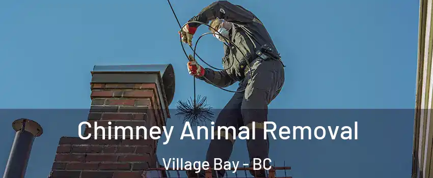 Chimney Animal Removal Village Bay - BC