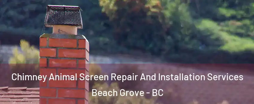 Chimney Animal Screen Repair And Installation Services Beach Grove - BC