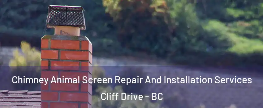 Chimney Animal Screen Repair And Installation Services Cliff Drive - BC
