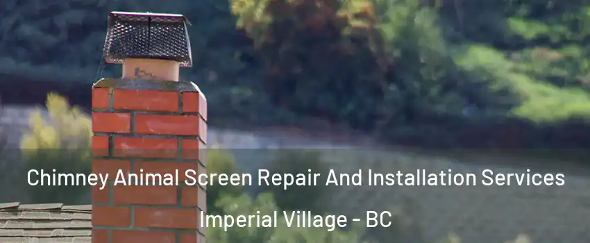  Chimney Animal Screen Repair And Installation Services Imperial Village - BC
