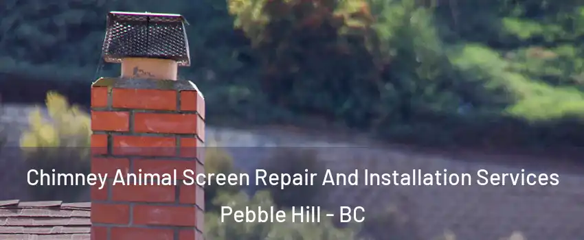 Chimney Animal Screen Repair And Installation Services Pebble Hill - BC