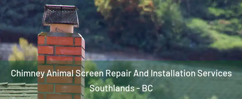Chimney Animal Screen Repair And Installation Services Southlands - BC