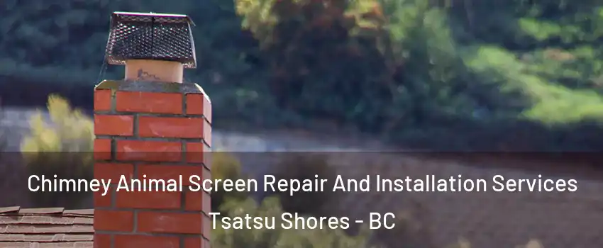Chimney Animal Screen Repair And Installation Services Tsatsu Shores - BC
