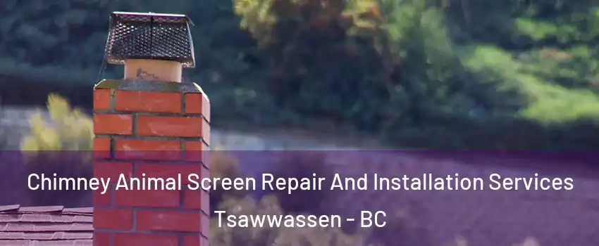  Chimney Animal Screen Repair And Installation Services Tsawwassen - BC