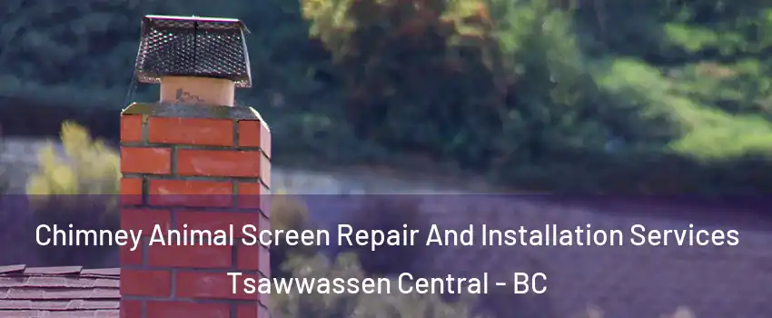 Chimney Animal Screen Repair And Installation Services Tsawwassen Central - BC