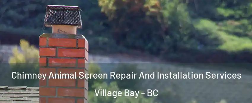 Chimney Animal Screen Repair And Installation Services Village Bay - BC