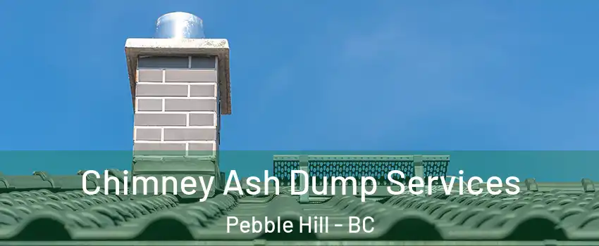 Chimney Ash Dump Services Pebble Hill - BC