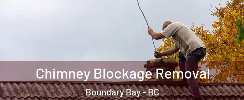 Chimney Blockage Removal Boundary Bay - BC