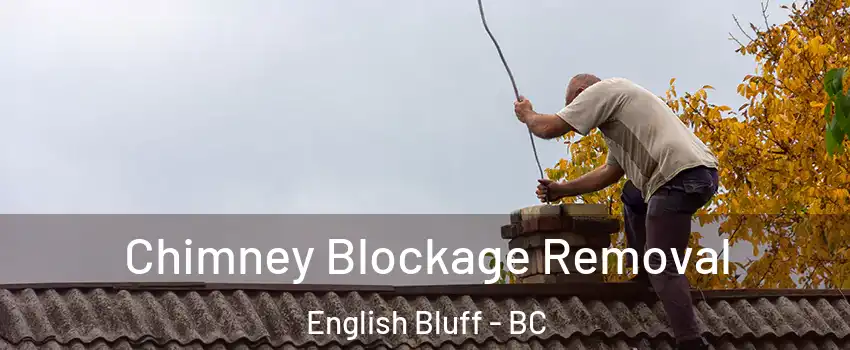 Chimney Blockage Removal English Bluff - BC