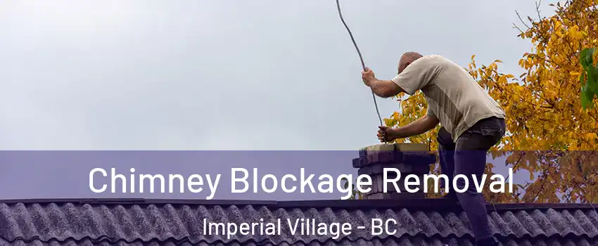 Chimney Blockage Removal Imperial Village - BC