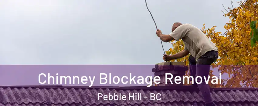  Chimney Blockage Removal Pebble Hill - BC