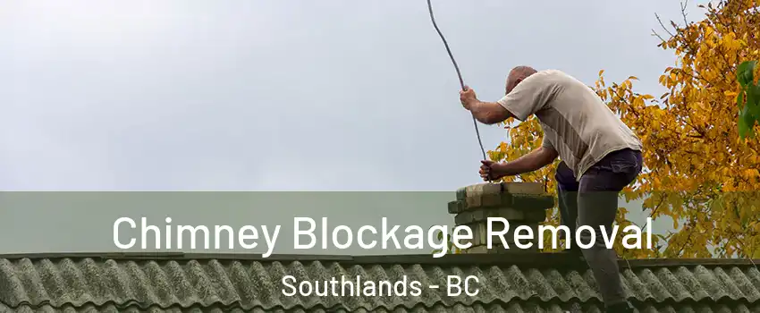  Chimney Blockage Removal Southlands - BC