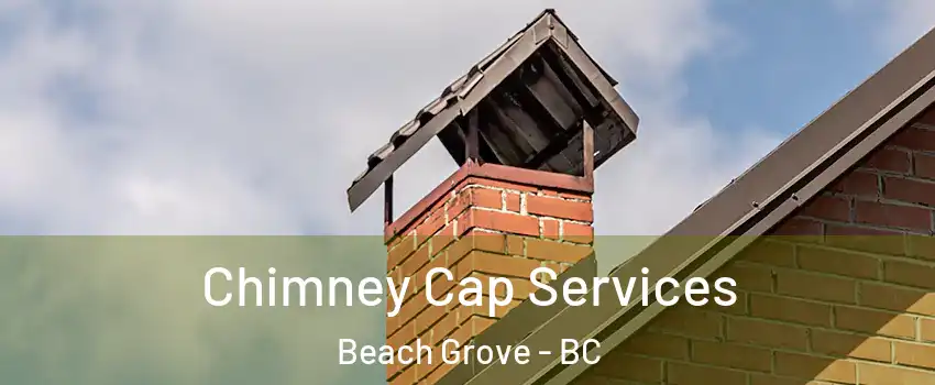 Chimney Cap Services Beach Grove - BC