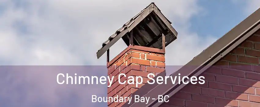 Chimney Cap Services Boundary Bay - BC