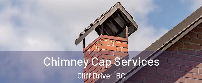 Chimney Cap Services Cliff Drive - BC
