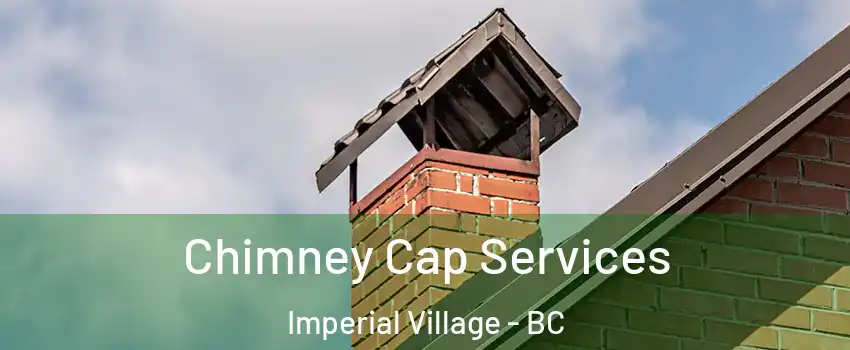 Chimney Cap Services Imperial Village - BC