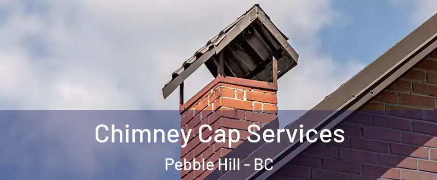 Chimney Cap Services Pebble Hill - BC