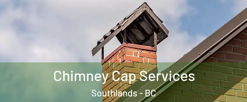 Chimney Cap Services Southlands - BC