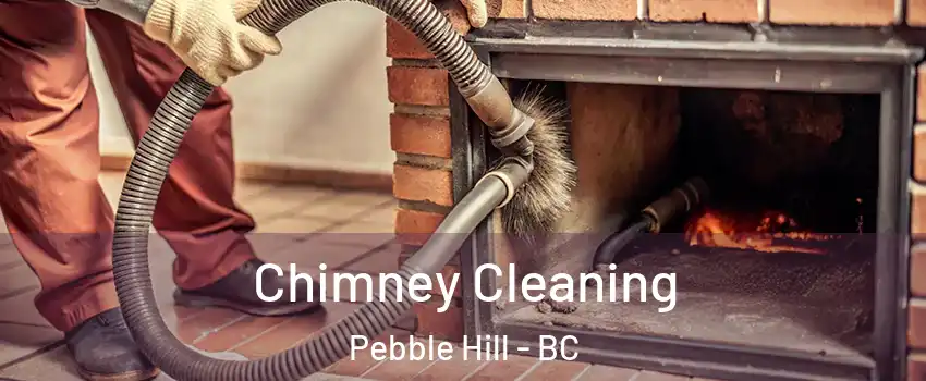 Chimney Cleaning Pebble Hill - BC