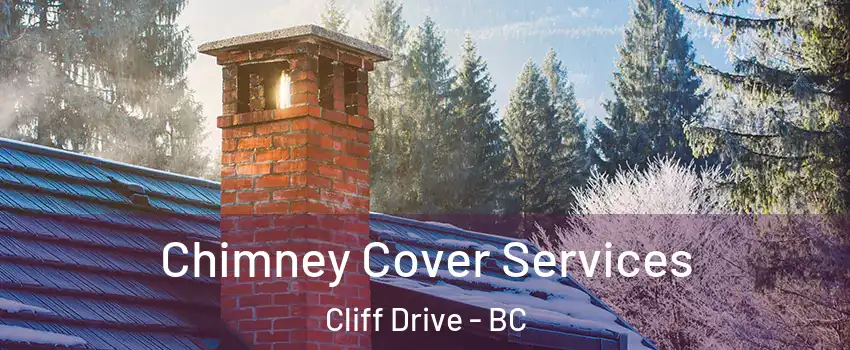 Chimney Cover Services Cliff Drive - BC
