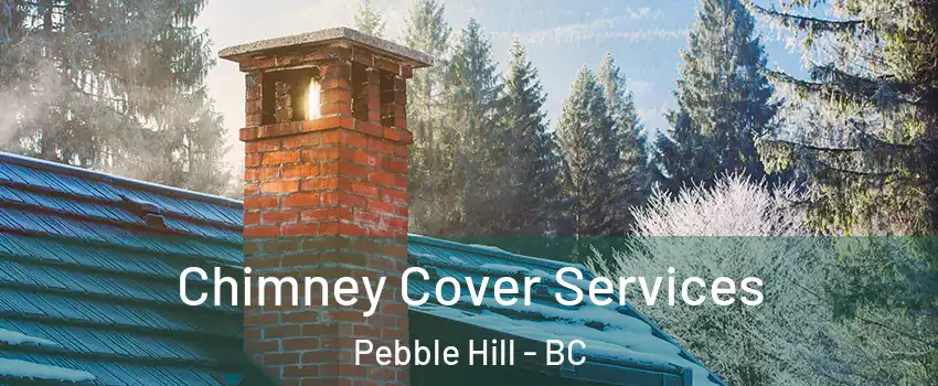 Chimney Cover Services Pebble Hill - BC