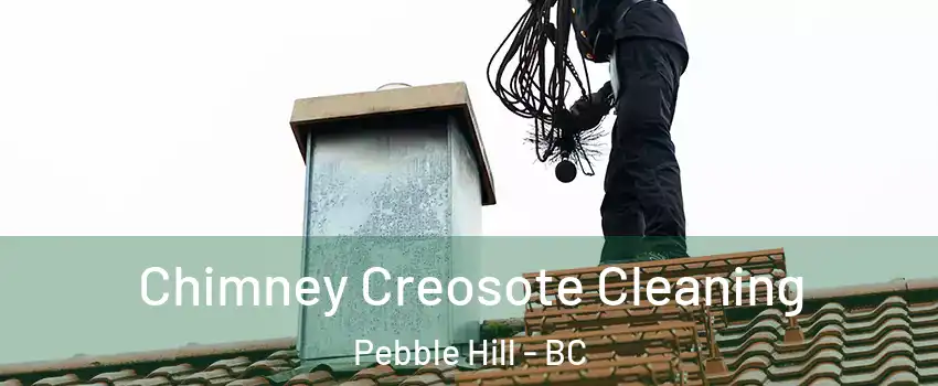 Chimney Creosote Cleaning Pebble Hill - BC