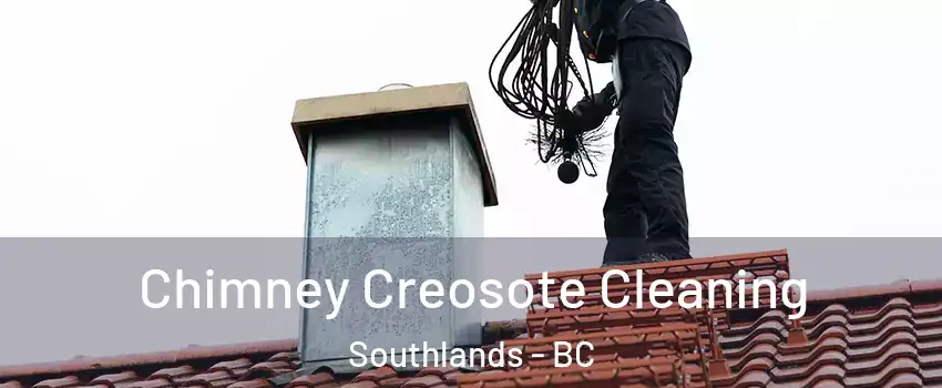 Chimney Creosote Cleaning Southlands - BC