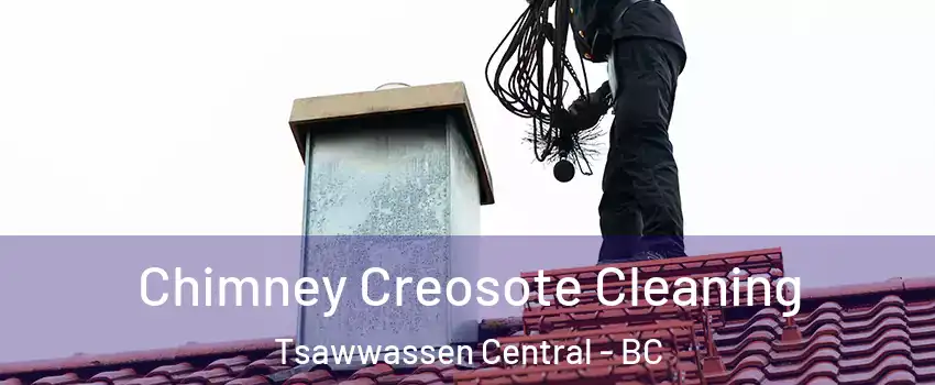 Chimney Creosote Cleaning Tsawwassen Central - BC