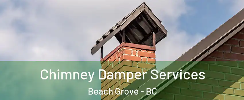 Chimney Damper Services Beach Grove - BC