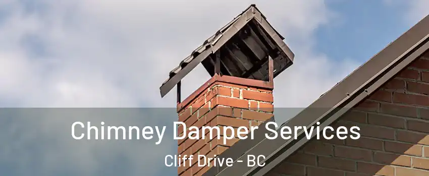 Chimney Damper Services Cliff Drive - BC