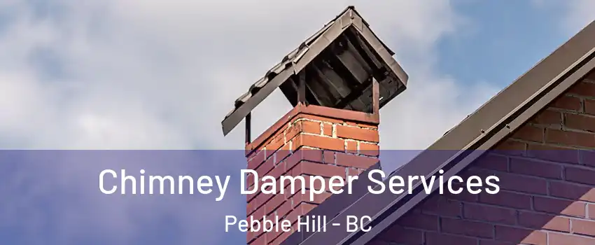 Chimney Damper Services Pebble Hill - BC