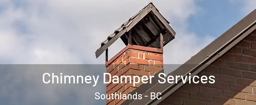 Chimney Damper Services Southlands - BC