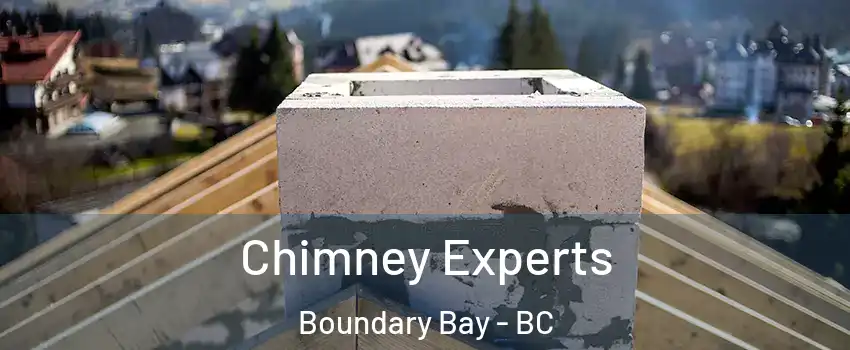 Chimney Experts Boundary Bay - BC