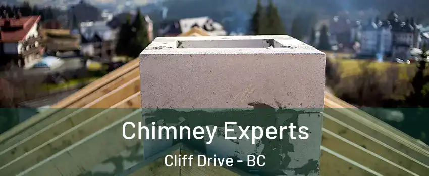 Chimney Experts Cliff Drive - BC