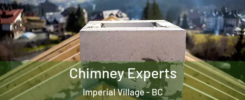 Chimney Experts Imperial Village - BC