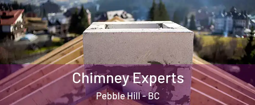 Chimney Experts Pebble Hill - BC