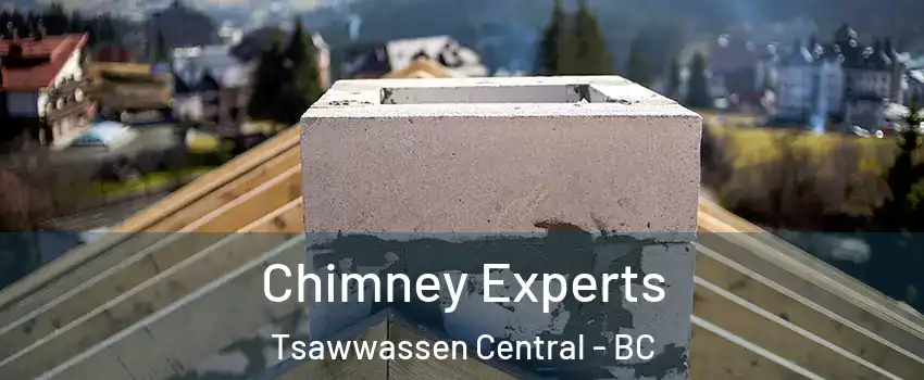 Chimney Experts Tsawwassen Central - BC