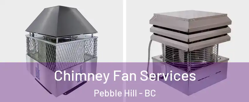 Chimney Fan Services Pebble Hill - BC