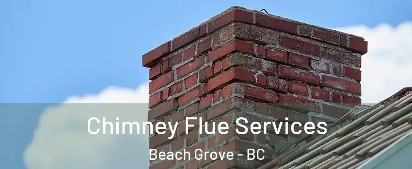 Chimney Flue Services Beach Grove - BC