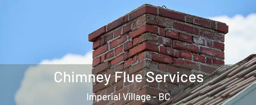 Chimney Flue Services Imperial Village - BC