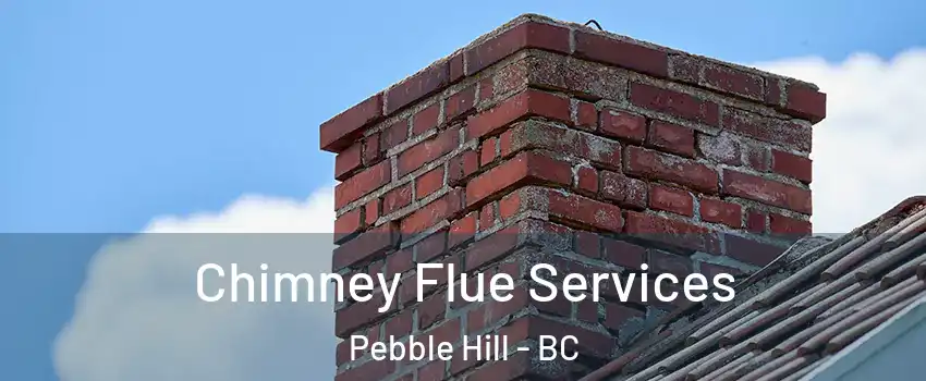 Chimney Flue Services Pebble Hill - BC