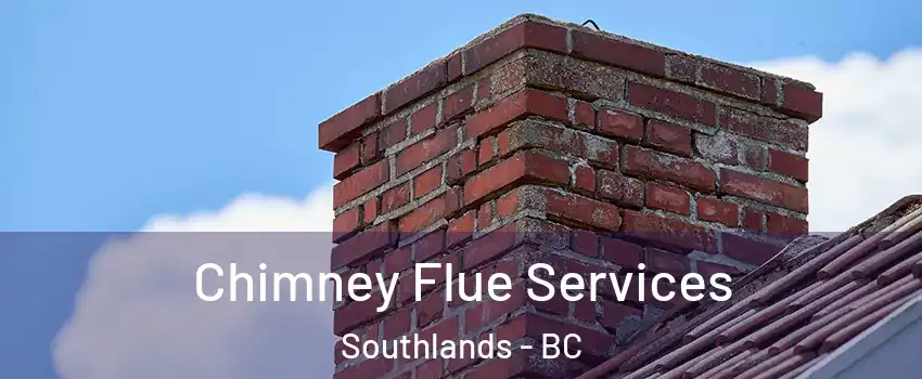 Chimney Flue Services Southlands - BC