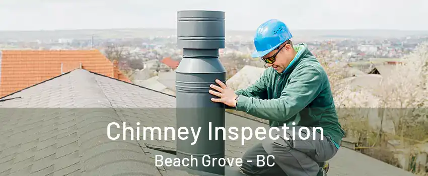 Chimney Inspection Beach Grove - BC